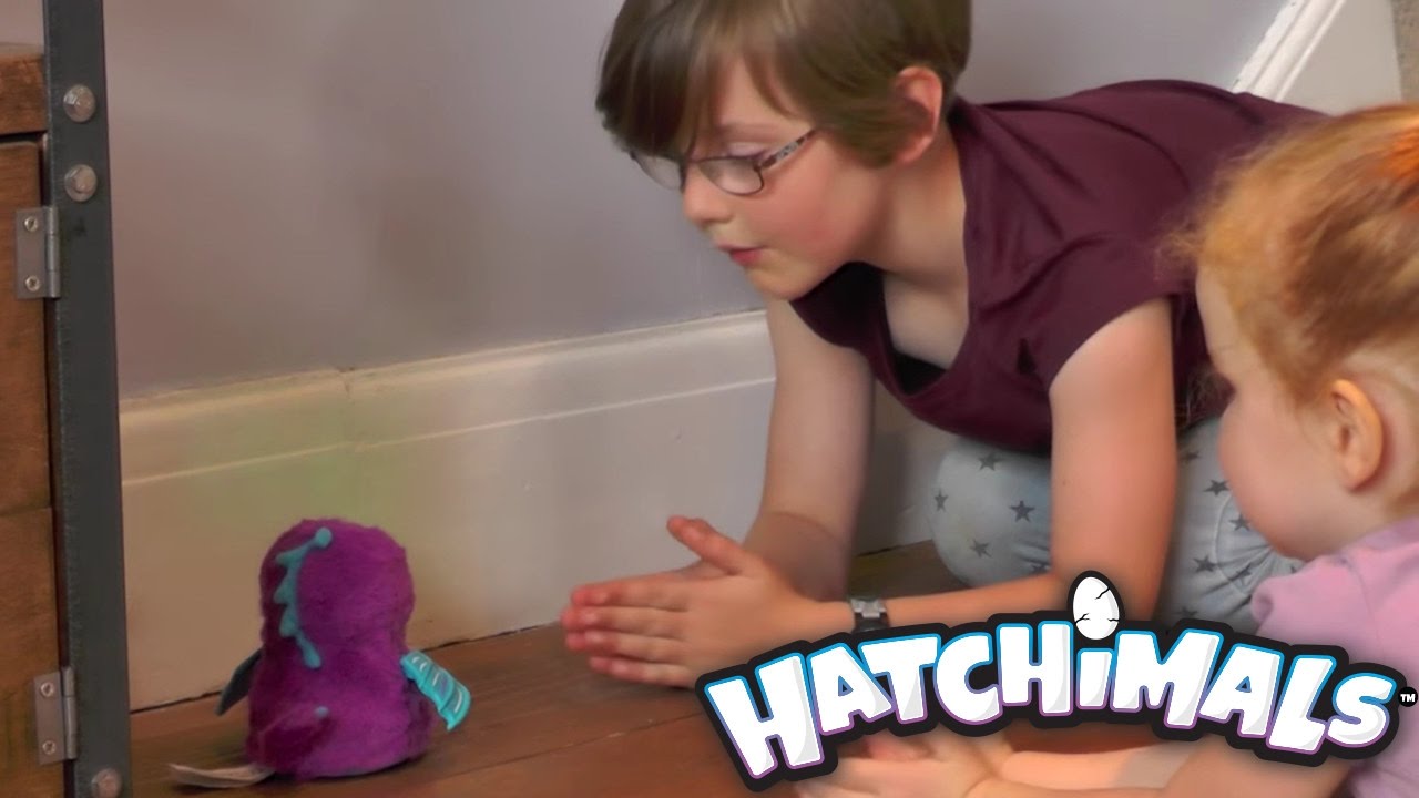 Featured Image for Hatchimals Christmas Tips & Stock Advice 